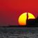 TomE - Summer Sun image