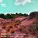 Maybe Listen? w/ Apart & David Rodrigues - 21st September 2020 image