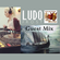 The Viking Groovers Guest Mix by Ludo Frost - House Disco 80s & Indie Dance image