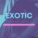 Exotic Dance Vibes - Global Rhythmic Crossover Dance Mix image
