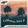 Oonops Drops - California Soul 7 image