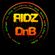 MrRidla DnB Tonic mix feb2012 image