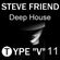 STEVE FRIEND TYPE "V"11 DEEP HOUSE / PROGRESSIVE image