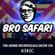Bro Safari - Annie Nightingale Mix BBC image