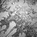 Yentl's Agonized System Soundscape Escape (JAN2016) image