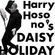 Daisy Holiday w/ Haruomi Hosono - 7th October 2022 image