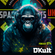 DKult - Podcast 074 - SPACEMONKEYS UK image