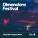 Dimensions Vinyl Mix Project 2016: danaboi image