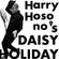 Daisy Holiday - 4th December 2020 image