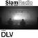 #SlamRadio - 503 - DLV image