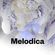 Melodica (in Ibiza) 11 July 2016 image