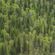 Midland - 20th June 2018 image