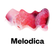 Melodica 7 November 2022 image