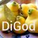 DiGod - Dunje Ranke image