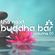 The next BUDDHA BAR | vol 1 image