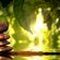 Capeau Meditation Time - Zen Garden image