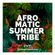 Mixed by Tommyboy  - Afro Matic Summer Tribe W36 image