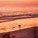 West Coast Sundown: Yacht Rock, Late Night Pop & Sunset Soul image