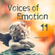 Voices of Emotion 11 image