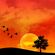 Phil Burrage-The Sunset To Sunrise Vol 1. image