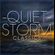 QUIET STORM VOL 2- THROWBACK SLOW JAMZ &  SMOOTH RNB- EASY LISTENING image
