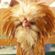 Funky Rooster, Happy Booster image