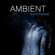 Ambient Experience image
