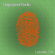 Fingerprint Radio 135 image
