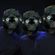 Blue Lemur Group - 2020.05.3. Mix image