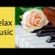 6 HOURS - Relaxing - Piano, violin, guitar -  Study music , focus, concentration, memory image