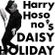 Daisy Holiday w/ Haruomi Hosono - 20th June 2021 image