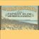 Fatboy Slim & Midfield General - Big Beach Boutique II (2002) image