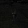 VERY HEAVY AND DARK image