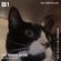 The Apron Show w/ Funkineven - 8th November 2017 image