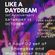 Like a Daydream, 1st Anniversary at The Blue Lamp Aberdeen 15/10/22 with DJ Yogi. image