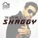 The Hits: Vol.2 - Best of Shaggy image