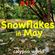 Snowflakes in May image