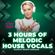3 Hours Of Melodic House Vocals image