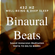 432 HZ BINAURAL BEATS | Sound Immersion Meditation image