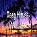 Deep House 2017 -  Vol.12 -  Tình Đơn Phương ♥ - DJ Tùng Tee Mix image