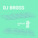 VIbras - DJ BROSS image