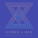 Hidden Lines image