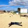 Greg Gringo : Mixsommar image