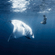 Dreamscapes 007 image