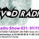 VIVOD RADIO 031 image