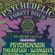 PJ Coyle @ Electrikal Tall Trees -  Kelburn Psychedelic Forest Disco 2015 image