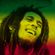 Bob Marley 65th Birthday image