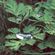 Remedy 2023_12_02 image