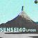 True to Beats | lp005 | Sensei40 image