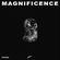 Axtone Approved: Magnificence image